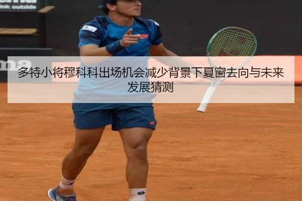 多特小将穆科科出场机会减少背景下夏窗去向与未来发展猜测