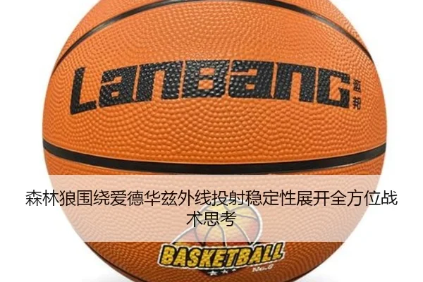 森林狼围绕爱德华兹外线投射稳定性展开全方位战术思考